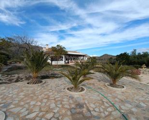 Vista exterior de Casa o xalet en venda en Alicante / Alacant amb Piscina