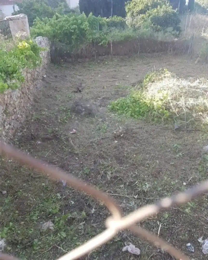 Finca rústica en venda en Abarán