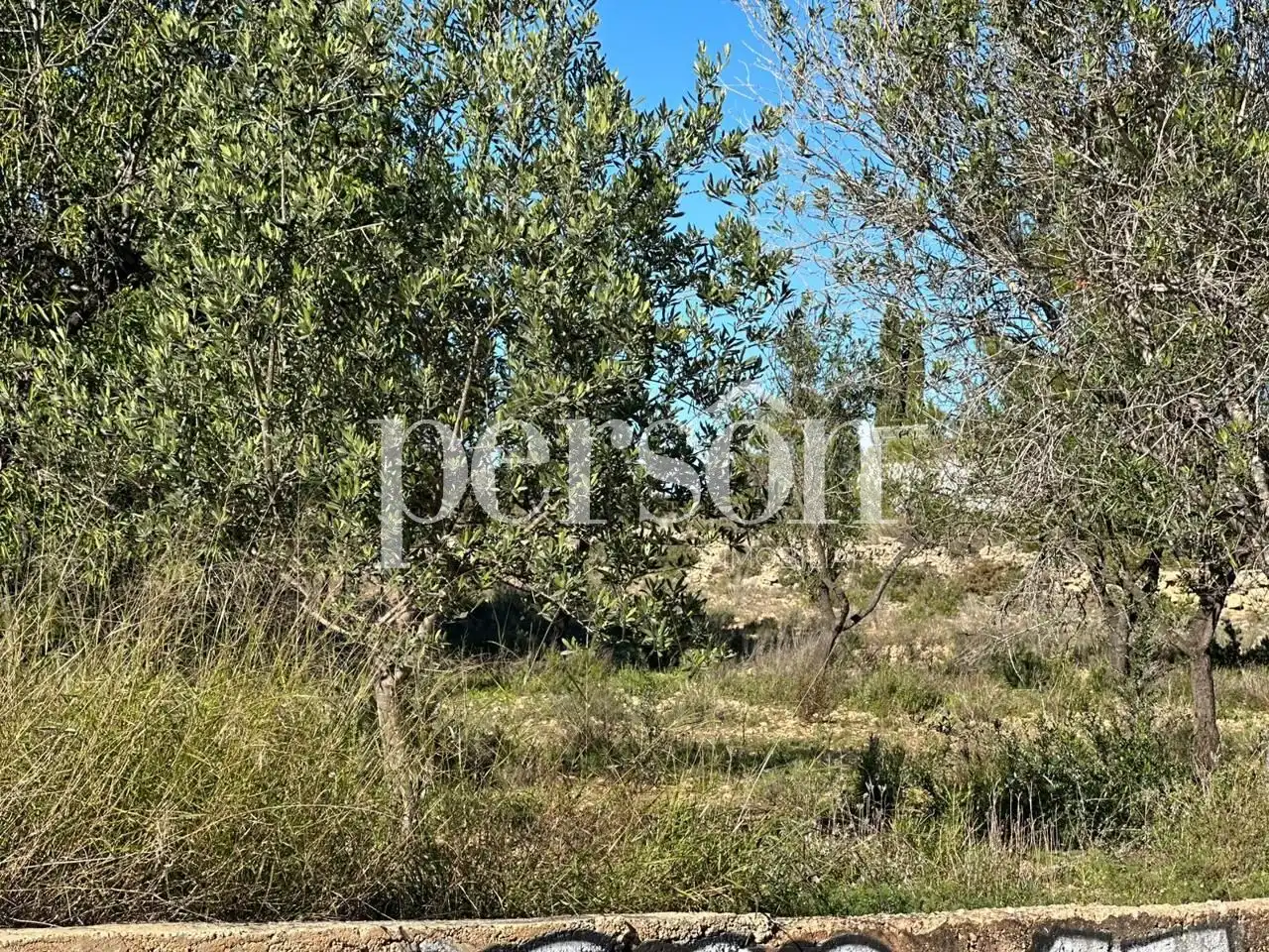 Terreno residencial en venta en La Conarda - Montesano, imagen 7
