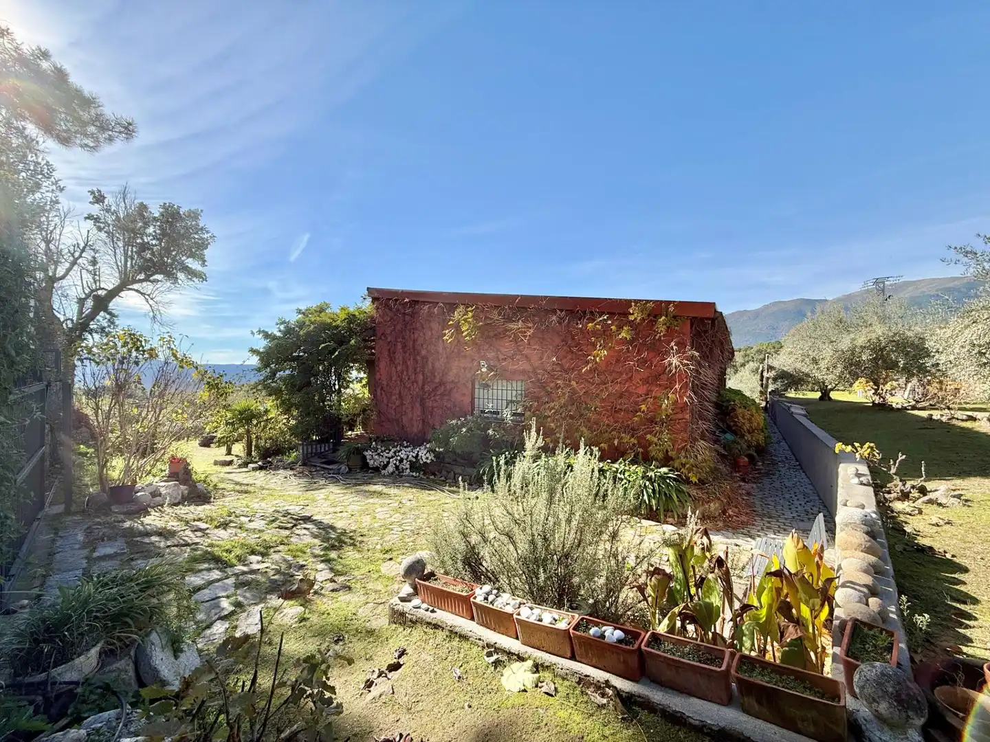 Vista exterior de Finca rústica en venta en Piedralaves con Jardín privado, Terraza y Trastero