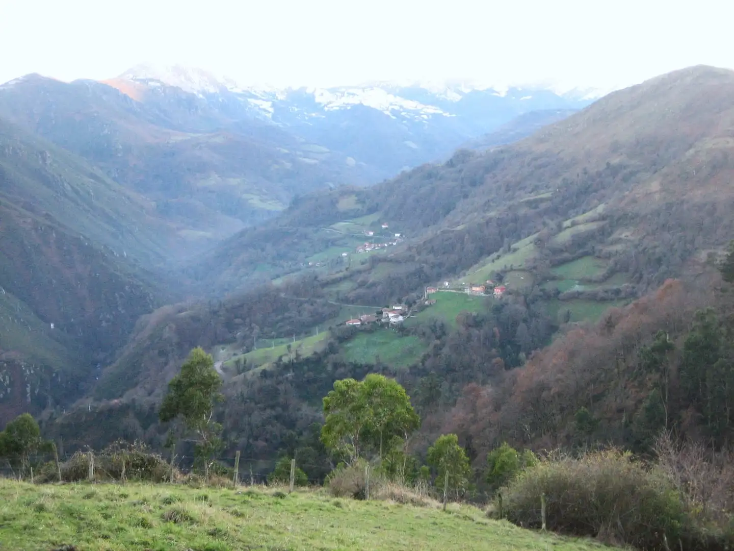 Terreny rústic en venda a Grado, imagen 48