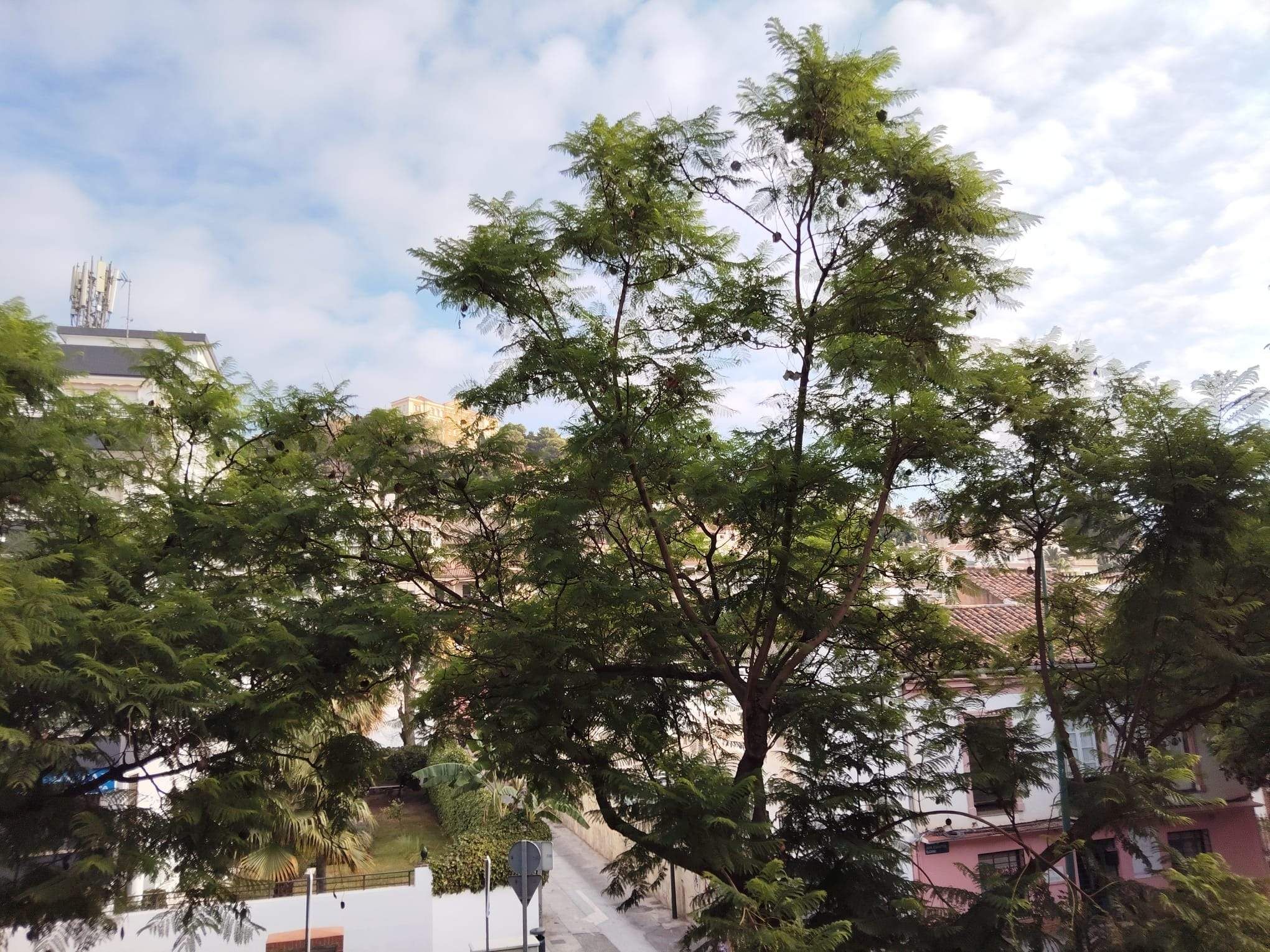 Exterior view of Apartment to rent in Málaga Capital  with Air Conditioner, Heating and Terrace