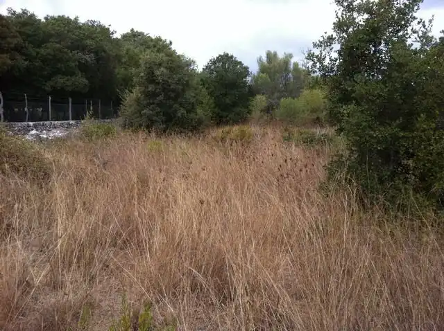 Terreno rustico in vendita a Pollença Poble, imagen 10