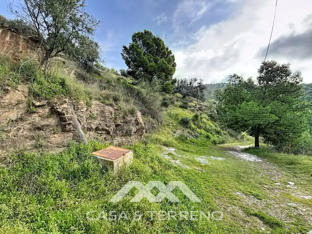Terreny residencial en venda a Partida Valdeinfierno (Diseminado), imagen 8