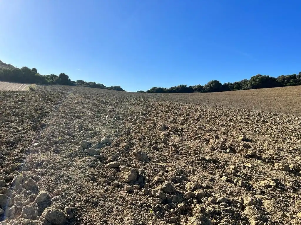 Casa rústica en venda a Vejer, imagen 8