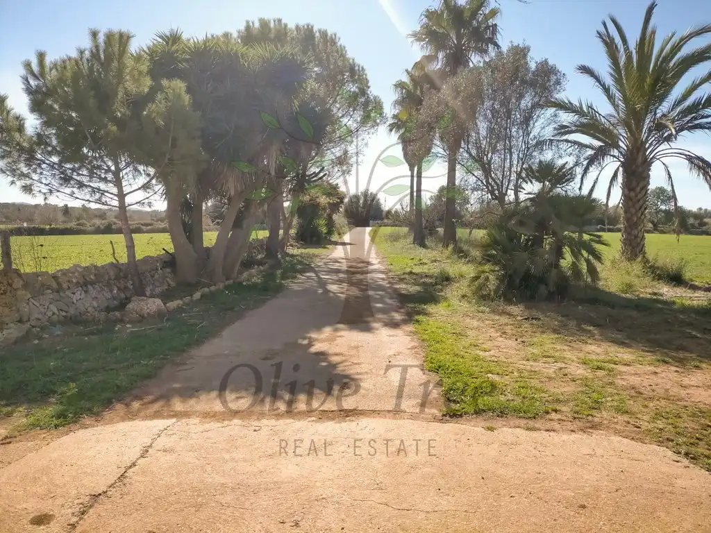 Casa o chalet en venta en Felanitx