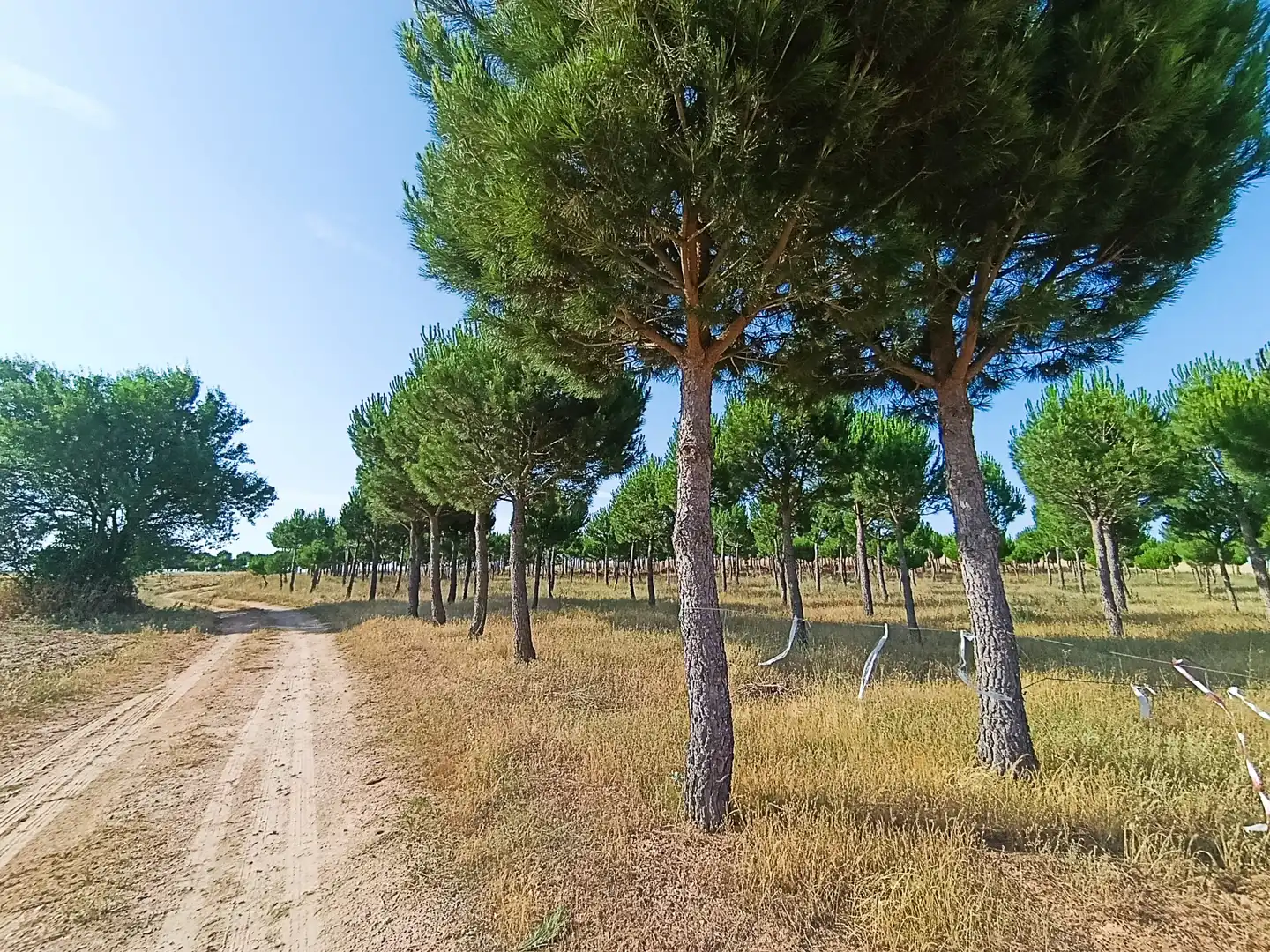 Casa o chalet en venta en Solarana con Calefacción, Amueblado y Horno