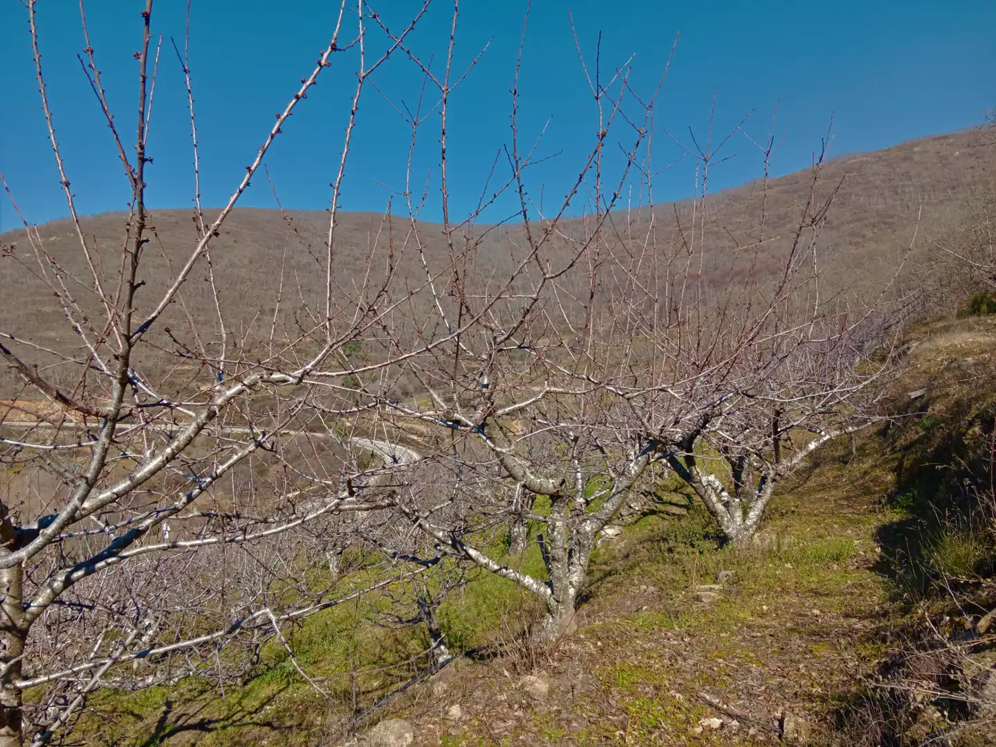 Terreni e lotti in vendita a Barrado, imagen 12
