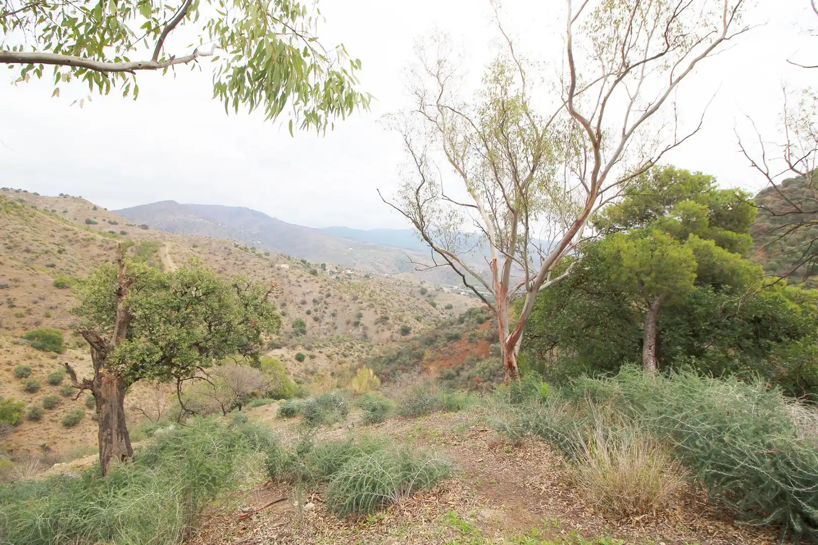 Finca rústica en venda en Málaga amb Traster