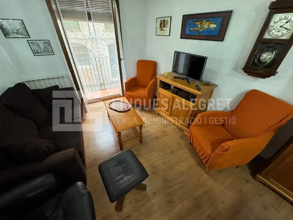 Living room of Flat for sale in La Pobla de Segur