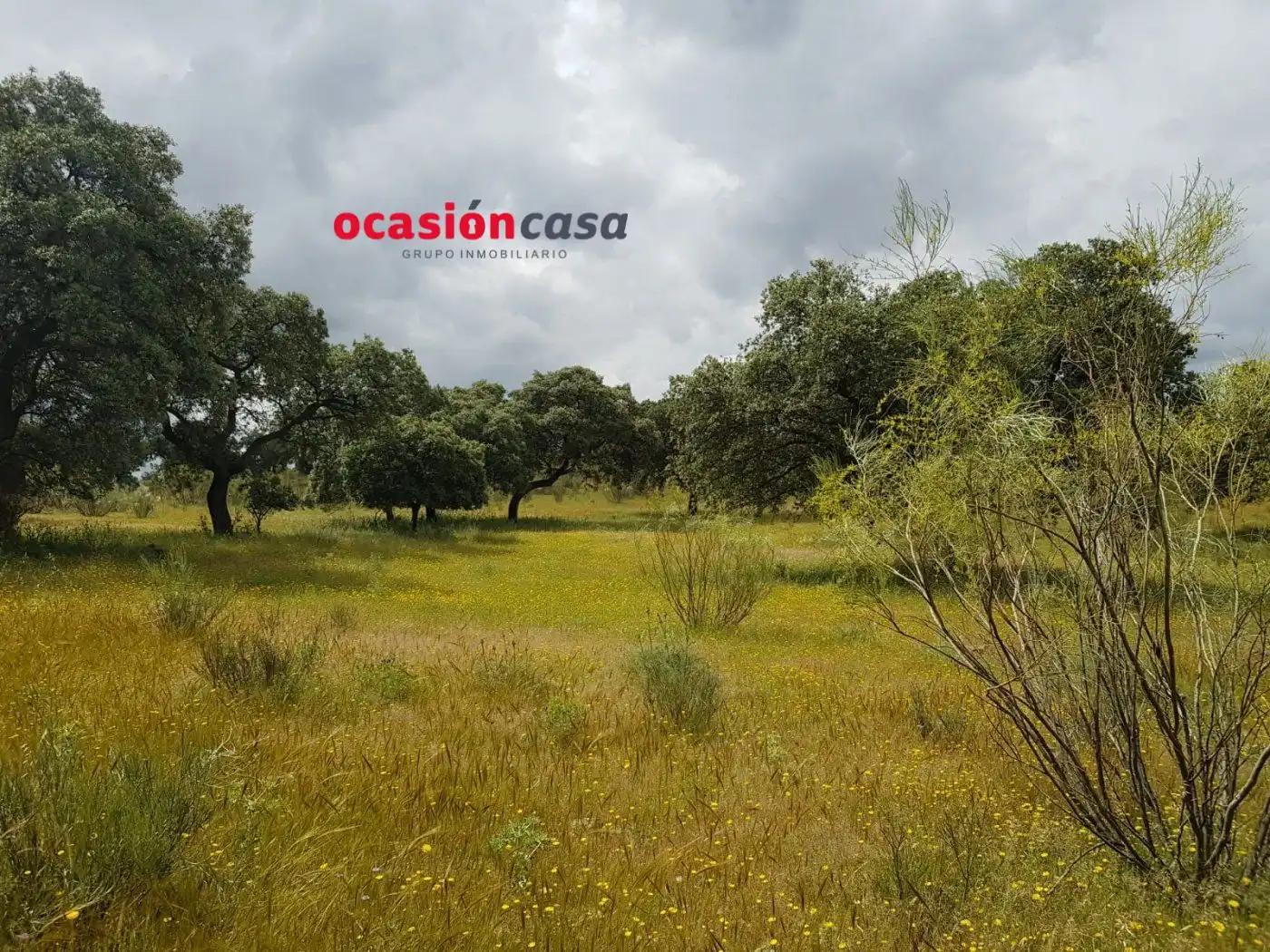 Finca rústica en venta en Torrecampo