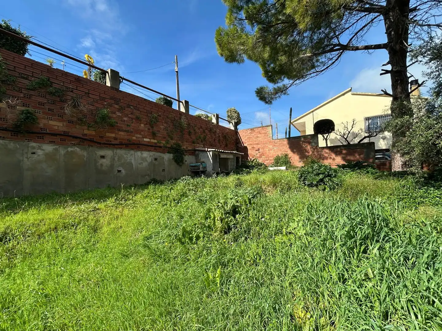Terrain rustique à vendre à Piera, imagen 9