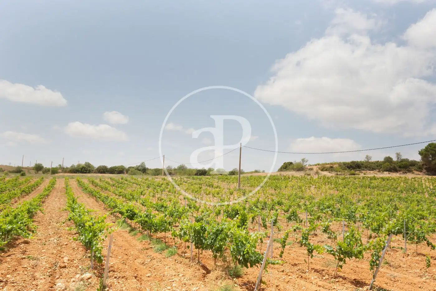 Residencial en venda en Requena