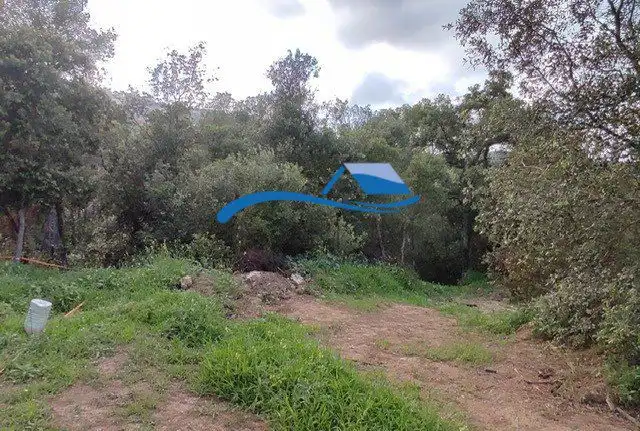 Lands and plots for sale in Les flors 1, imagen 6