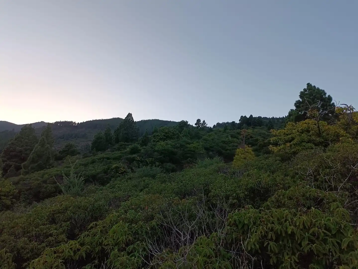 Rural land for sale in ARAFO, imagen 4