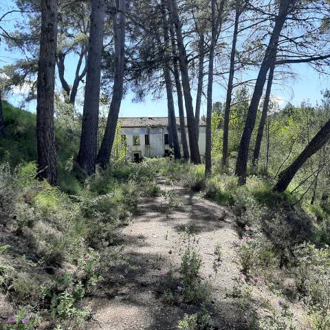 Terreno en Venta en Planes