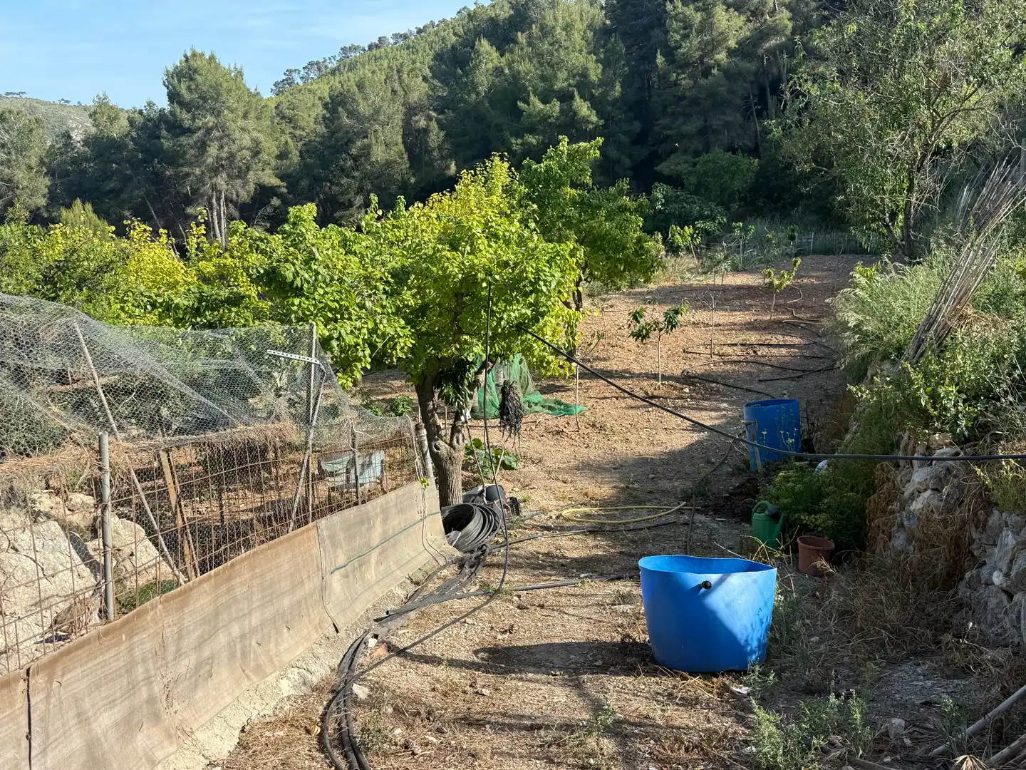 Jardín de Finca rústica en venta en Sitges con Aire acondicionado, Terraza y Piscina