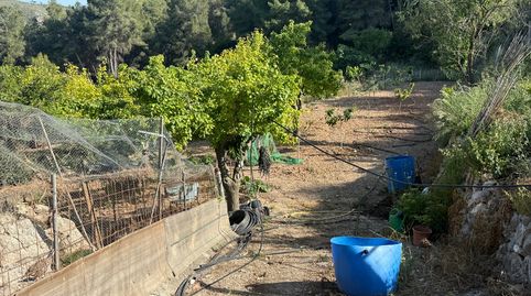Foto 4 de Finca rústica en venta en Garraf, Sitges