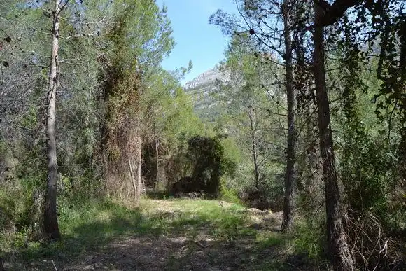 Terrenos y solares en venta en Beniardà, imagen 6