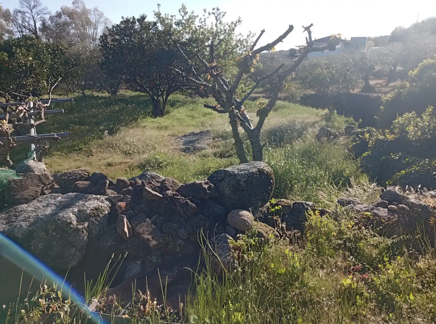 Terreno en venta en Valverde de la Vera