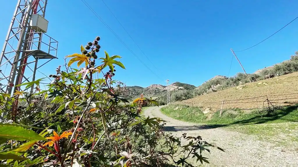 Terreny residencial en venda a Álora, imagen 5