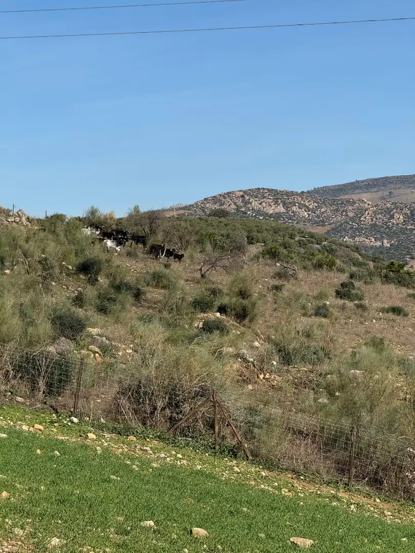 Houses for sale in Málaga  with Furnished