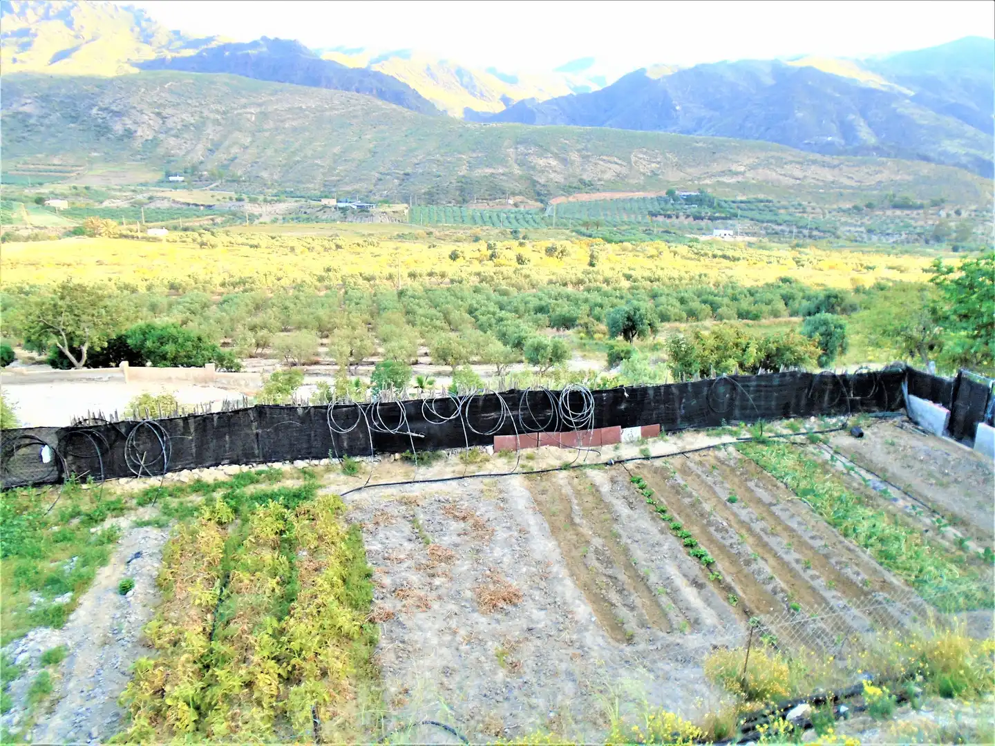 Casa en venta en Carboneras, imagen 2