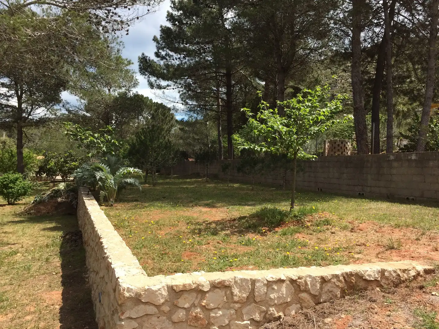 Garden of Houses for sale in Simat de la Valldigna