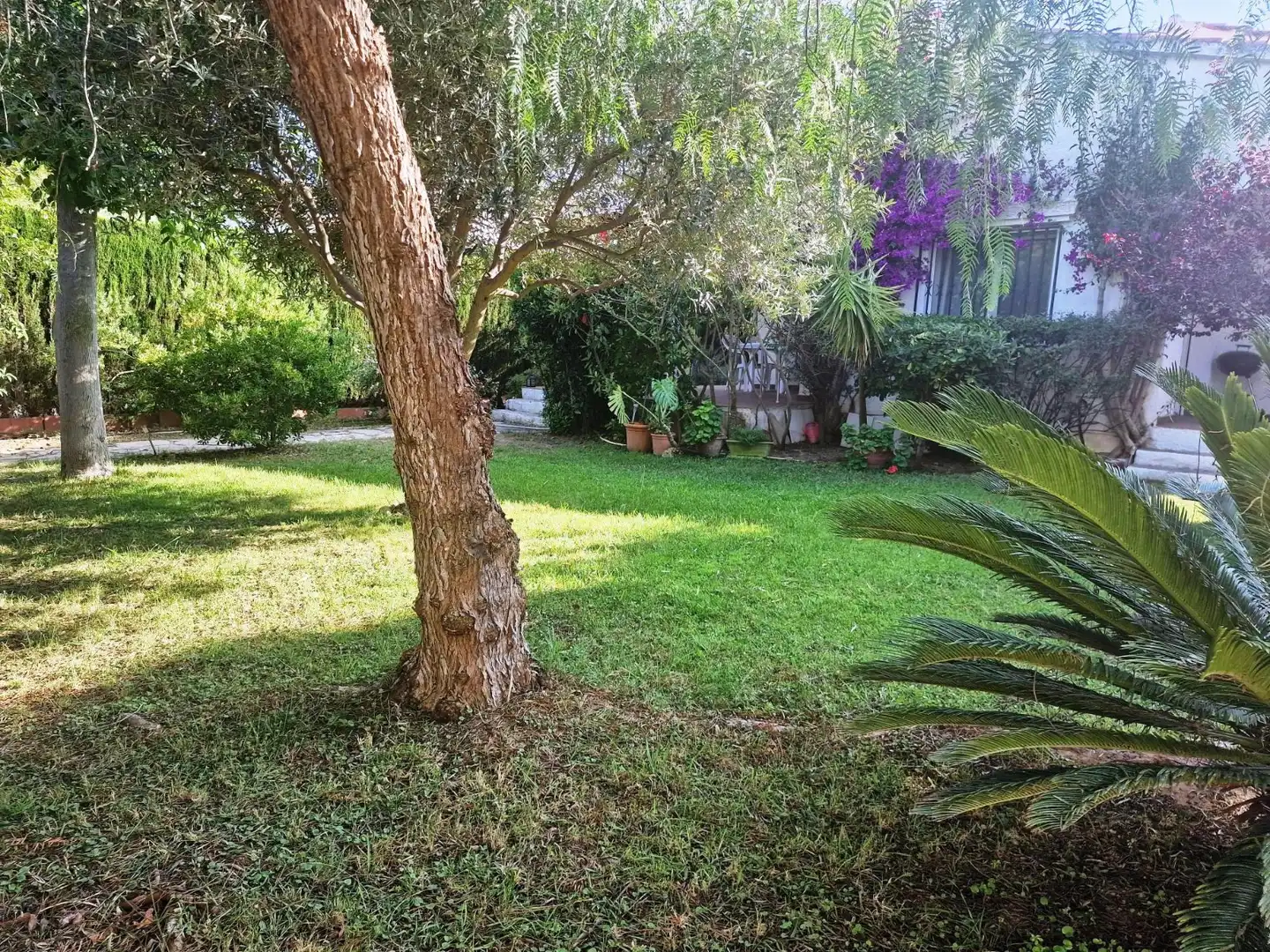 Villa avec jardin à vendre à Ardiaca - La Llosa, imagen 3
