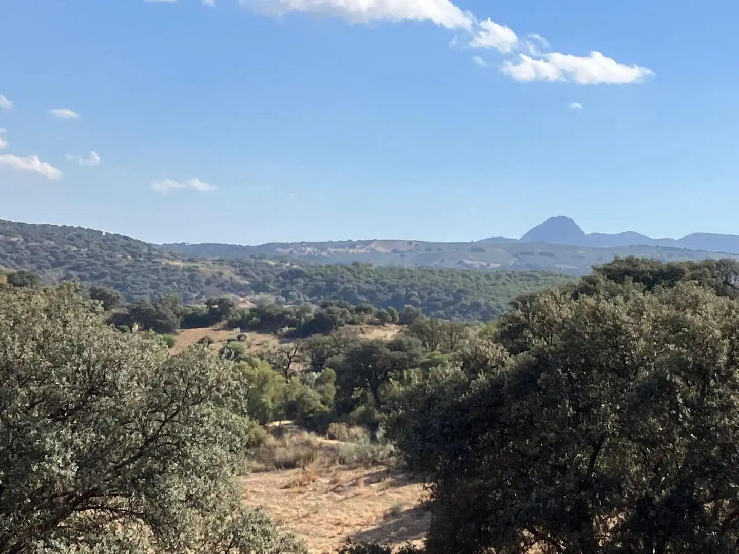 Casa o chalet en venta en La Puebla de Cazalla con Jardín privado y Alarma