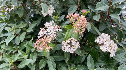 Foto 4 de Casa o chalet en venta en Calle a Camino, Murillo de Gállego, Zaragoza