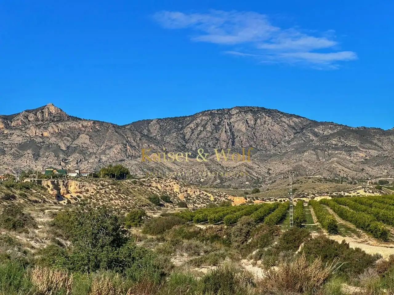 Finca rústica en venda en Albatera amb Aire condicionat, Jardí privat i Piscina