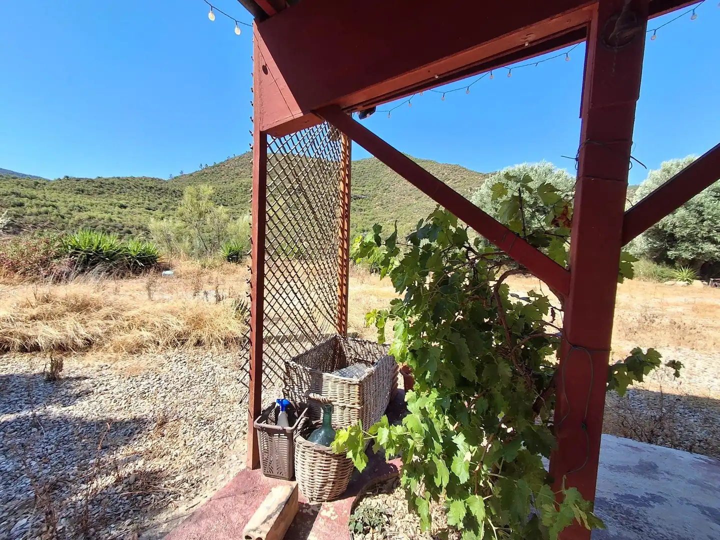 Jardí de Finca rústica en venda en Riba-roja d'Ebre