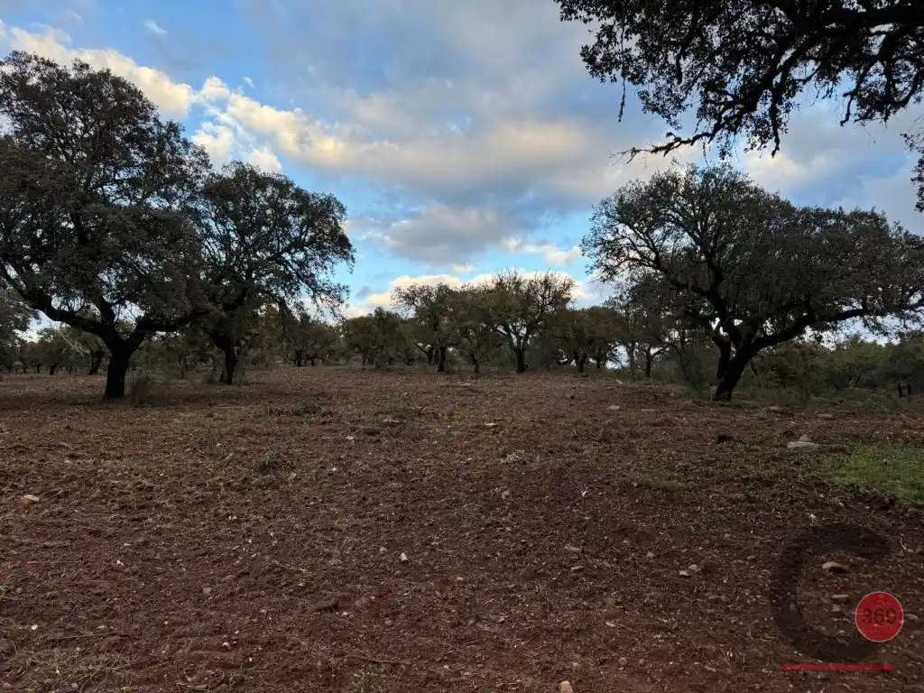 Casa o xalet en venda en Cáceres