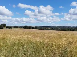 Terreni e lotti in vendita a Norte, imagen 35
