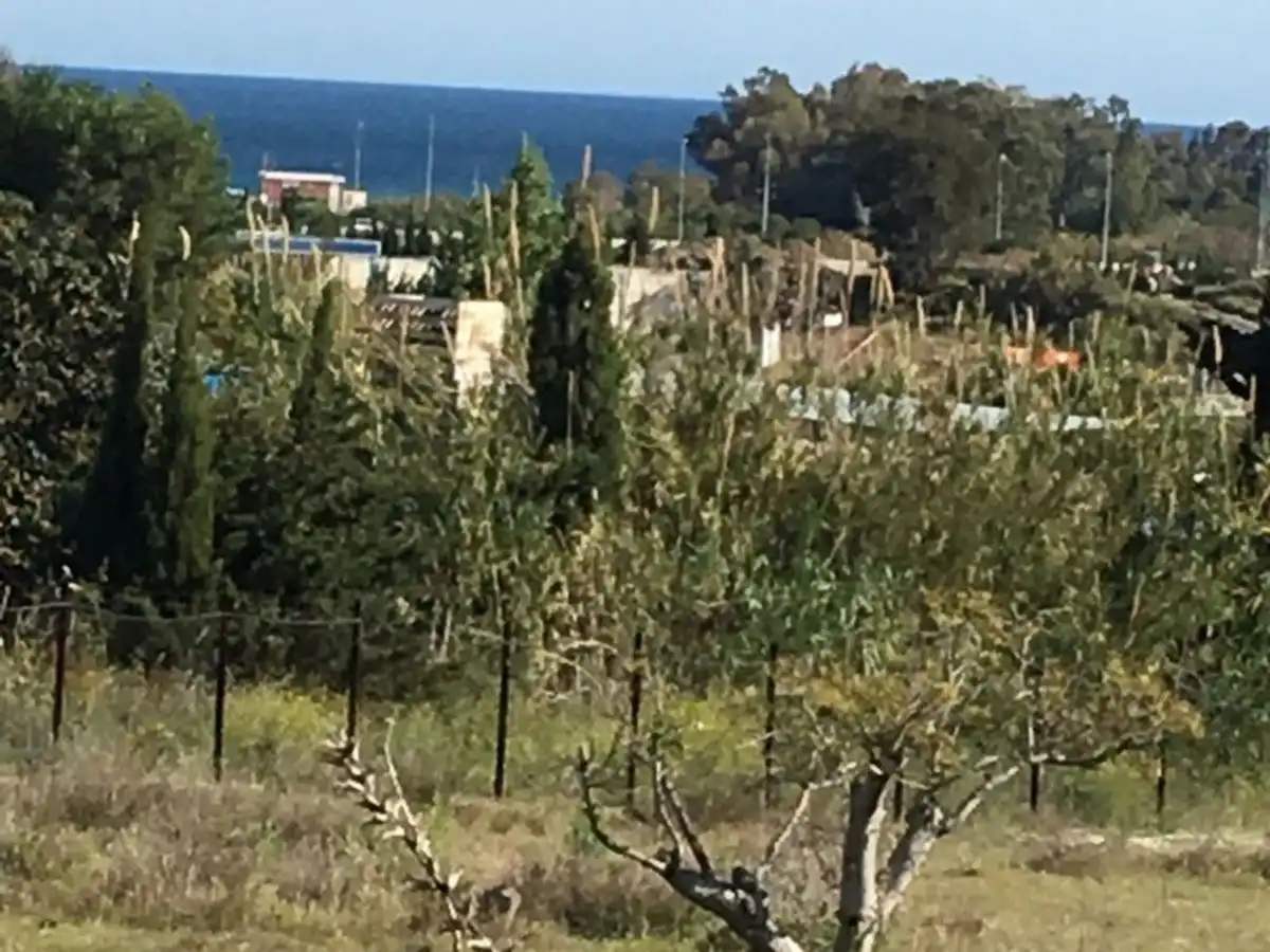 Finca rústica en venta en Estepona con Jardín privado