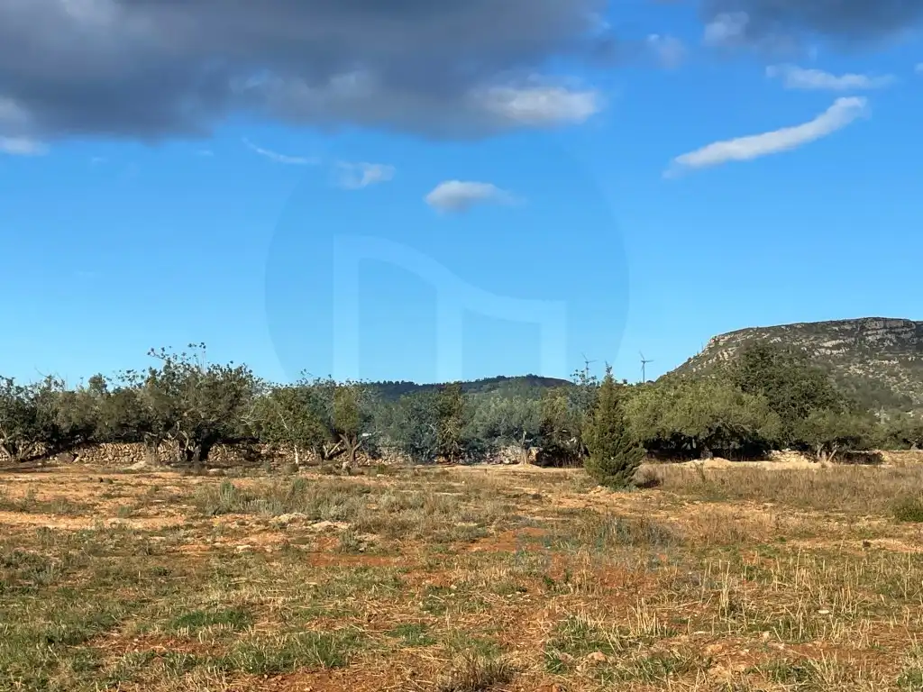 Country house for sale in Camarles, imagen 5