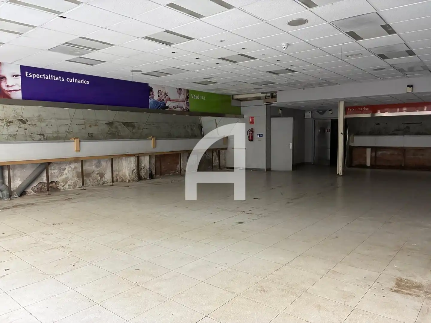 Local comercial de lloguer a Major, imagen 2