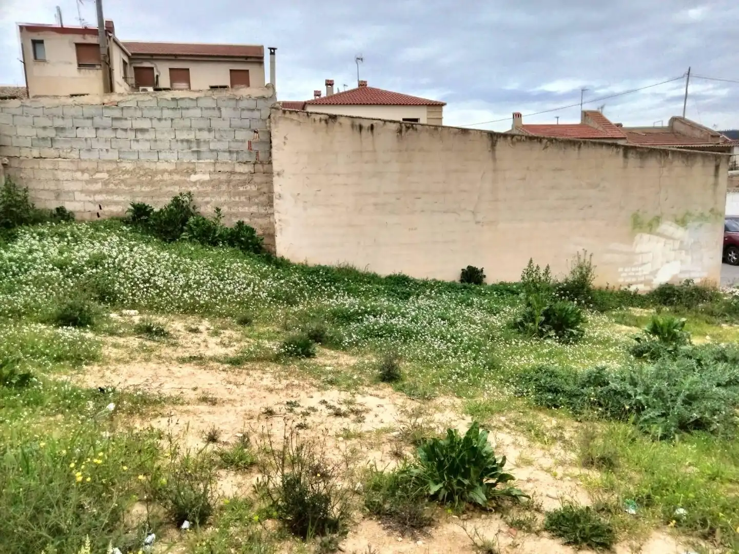 Lands and plots for sale in Bullas, imagen 3