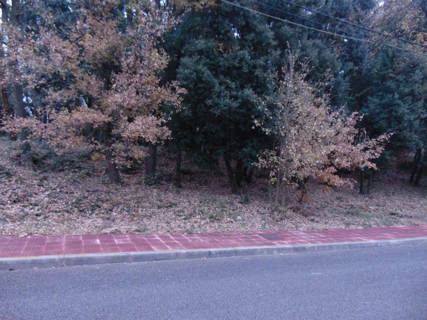 Residential land for sale in del Castell de la Popa 23, imagen 4