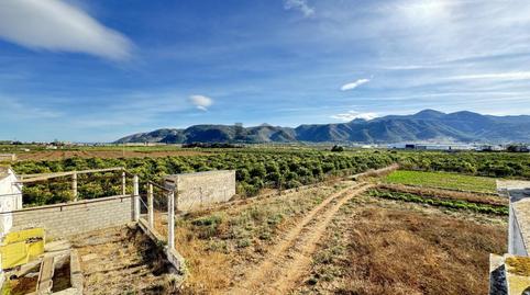 Foto 5 de Finca rústica en venda a Benifairó de la Valldigna, Valencia