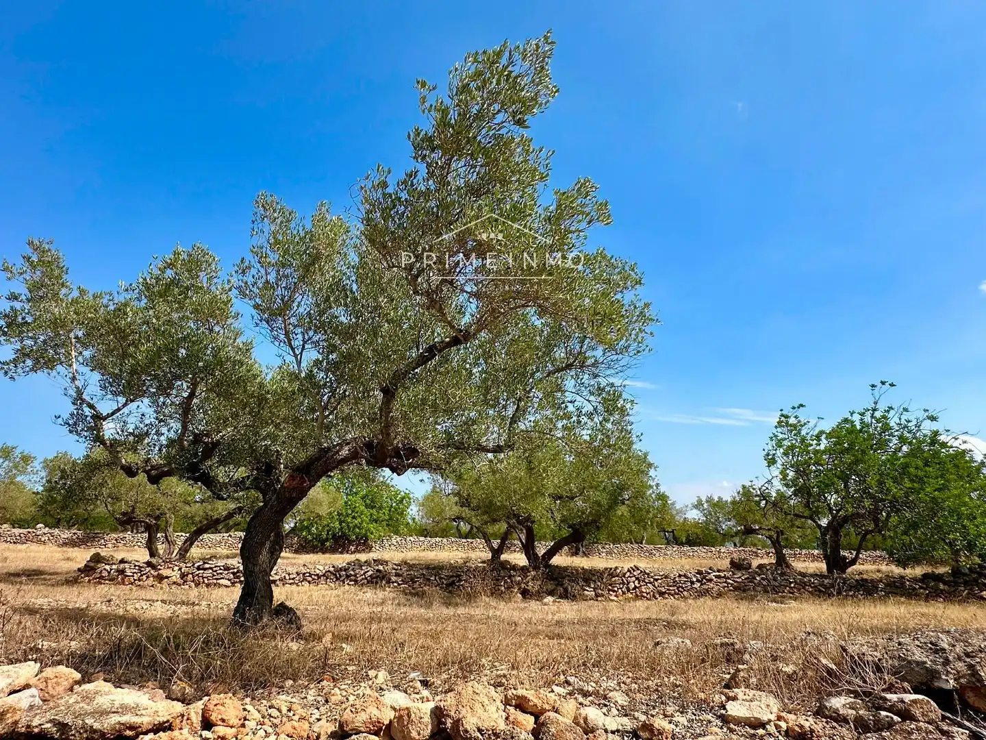 Casa rústica en venta en El Perelló, imagen 27