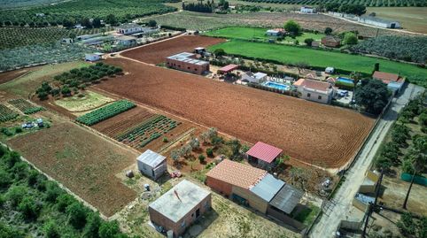Foto 4 von Grundstücke zum Verkauf in Polígono Poligono 16 Parcela 58, Sanlúcar la Mayor, Sevilla