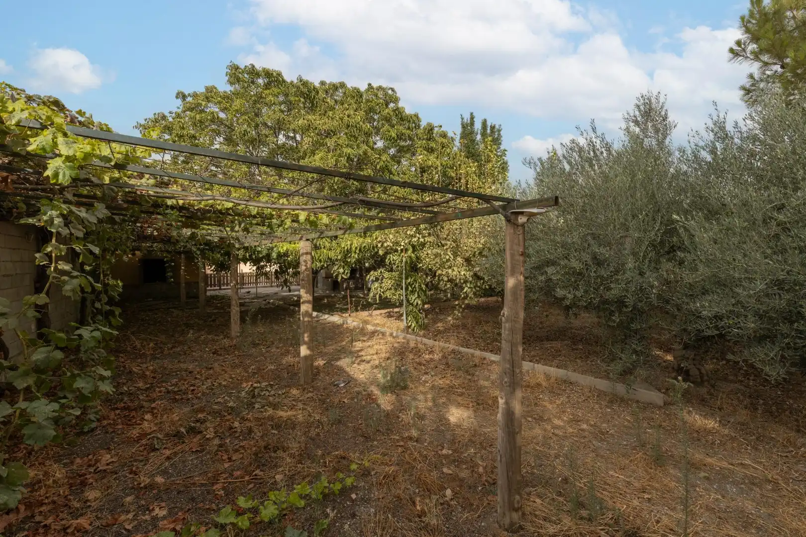 Country homes for sale in Polideportivo