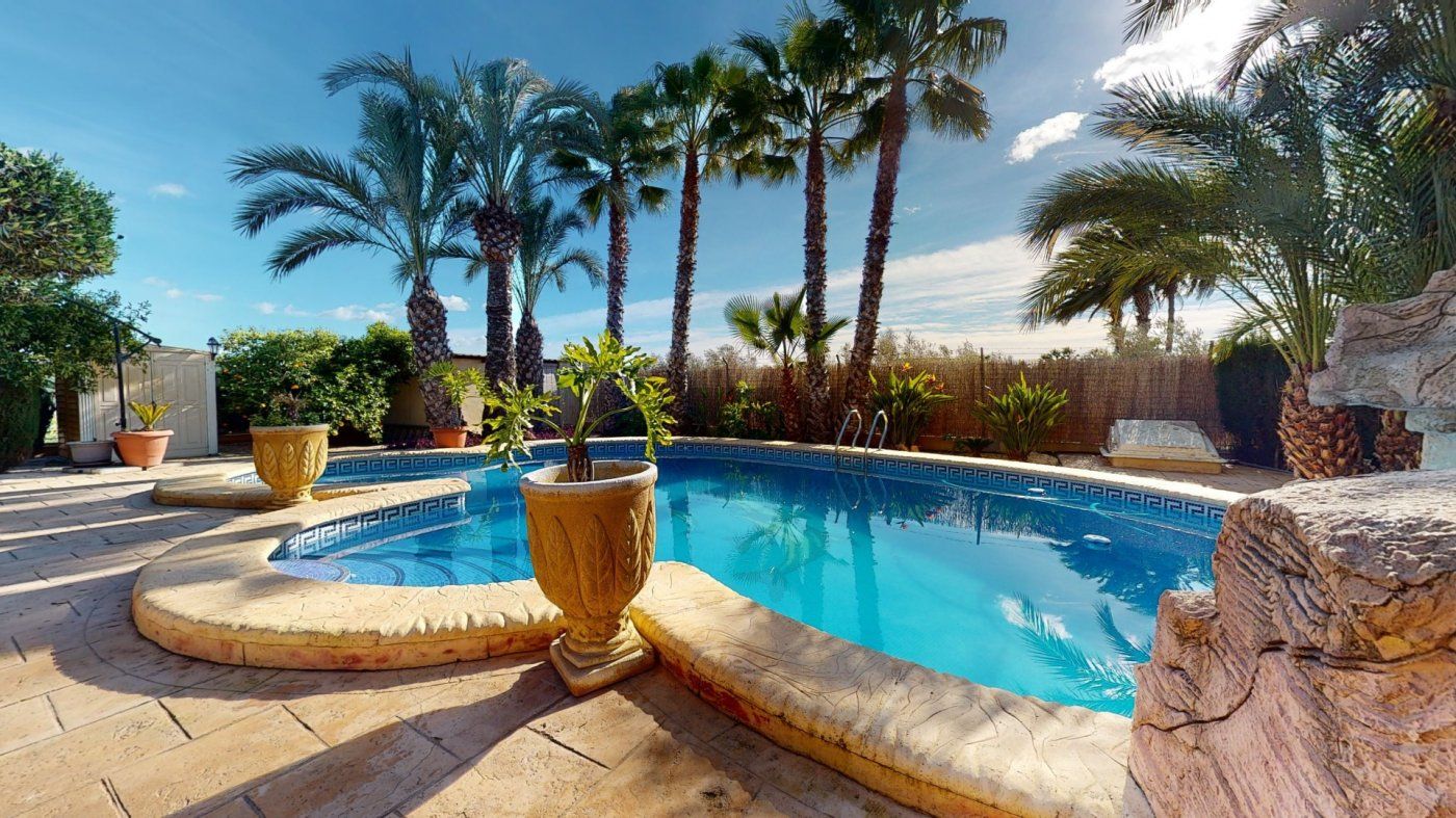 Swimming pool of House or chalet for sale in Elche / Elx  with Terrace and Swimming Pool