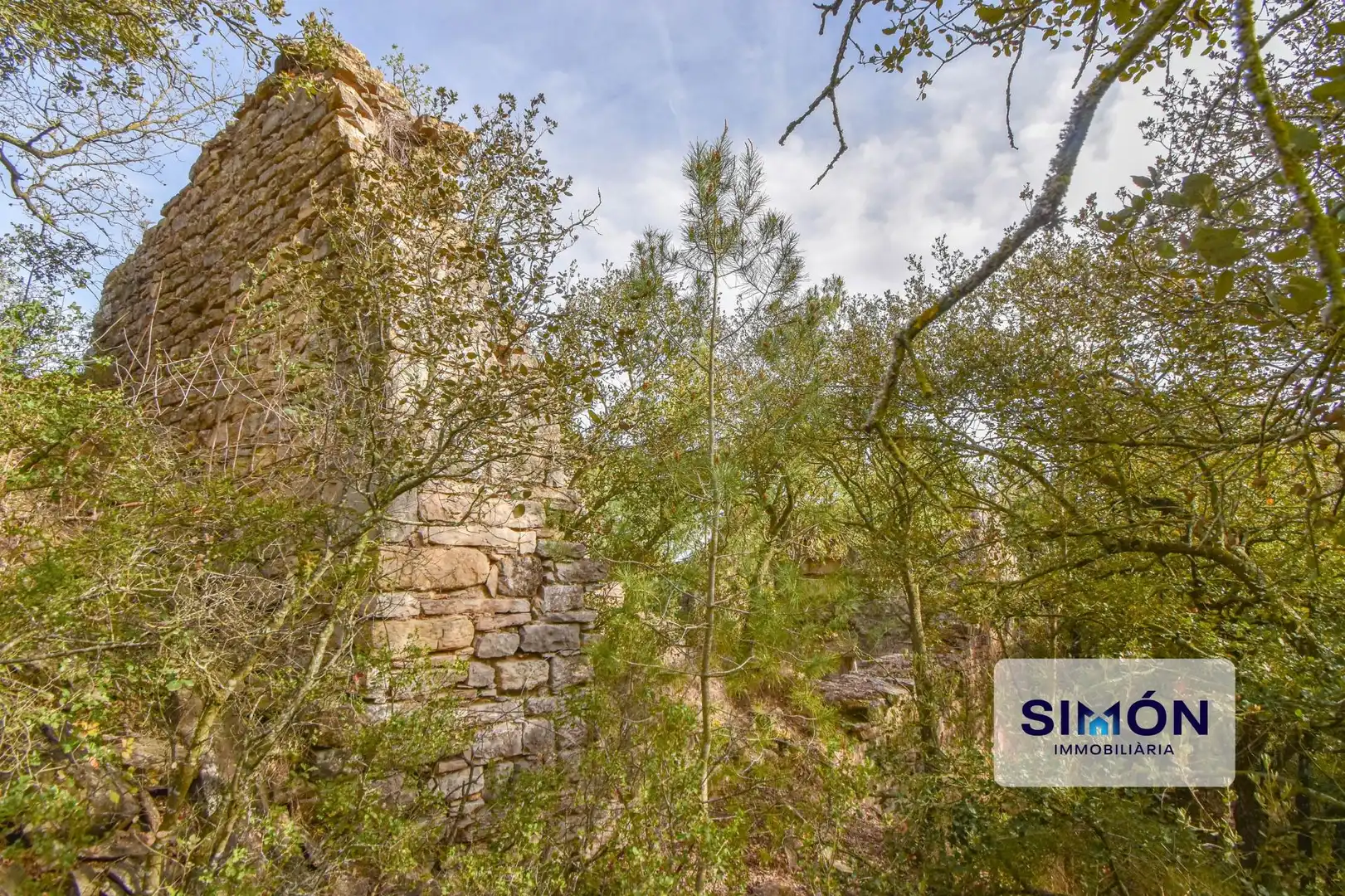 Finca rústica en venta en Veciana