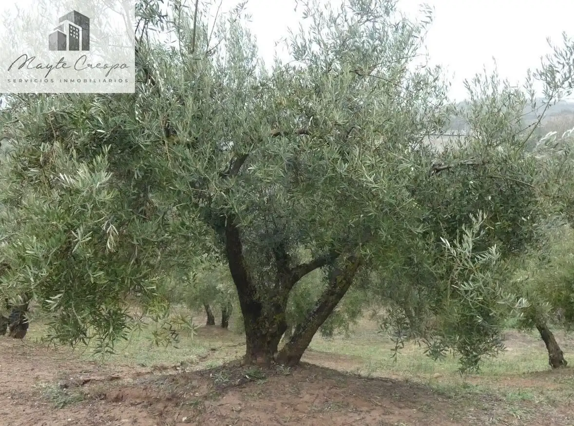 Terreni e lotti in vendita a Peligros, imagen 29