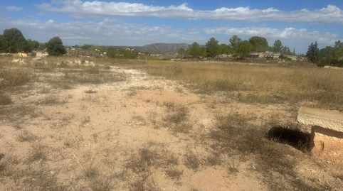 Terreno Rural Agrario de 13.000 m2 en Beties  Monóvar, immagine 4