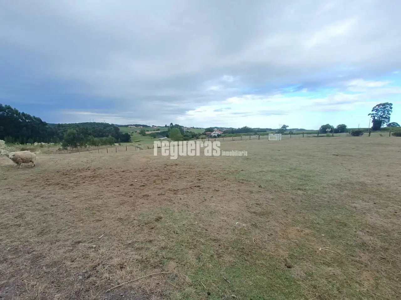Wohnbaugrundstück zum Verkauf in Romadonga a Salines, imagen 6