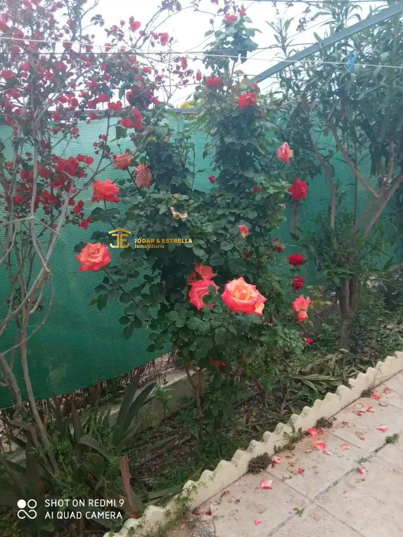 Garden of Houses for sale in Pedanías Norte